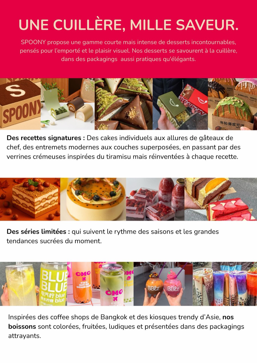 Dossier de présentation projet — 5